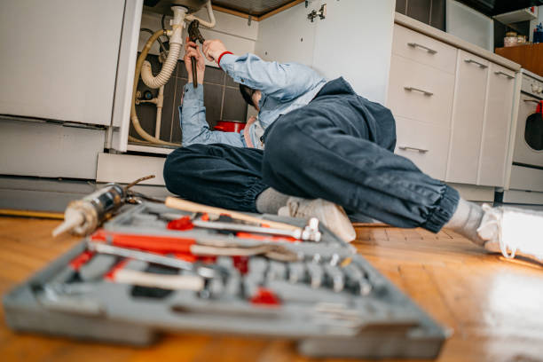 Best Water Softener Installation  in Blissfield, MI