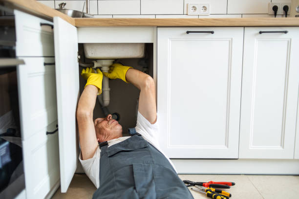 Best Leak Detection Services  in Blissfield, MI