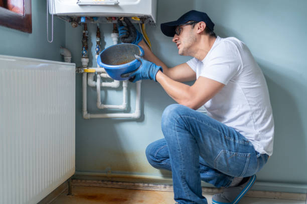 Best Affordable Plumbing Services  in Blissfield, MI